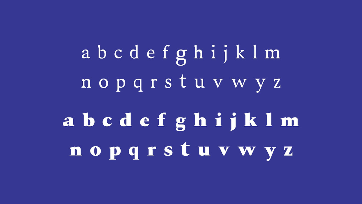 animation  chonky design Display font font design graphic design  type typography   typography design