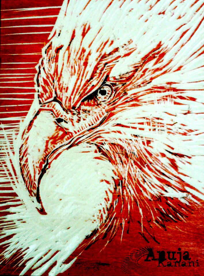 art Printing eagle colour wood etching lithography