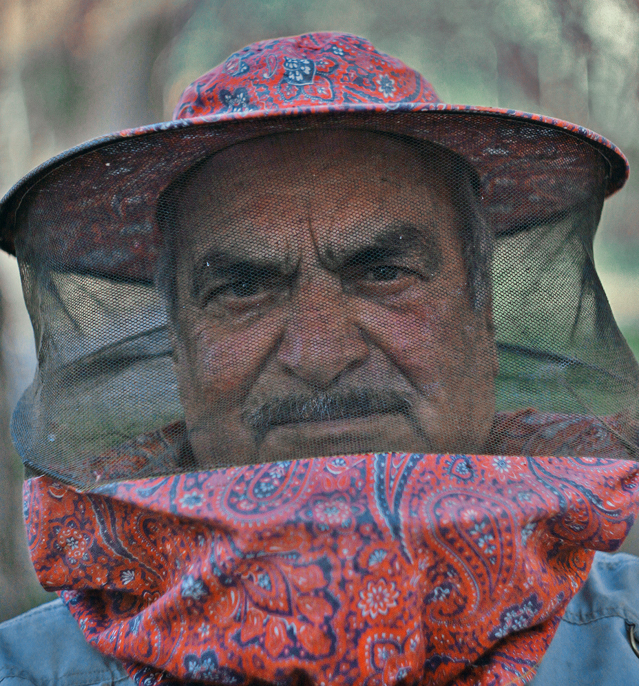 oldman color bee grandfather hat