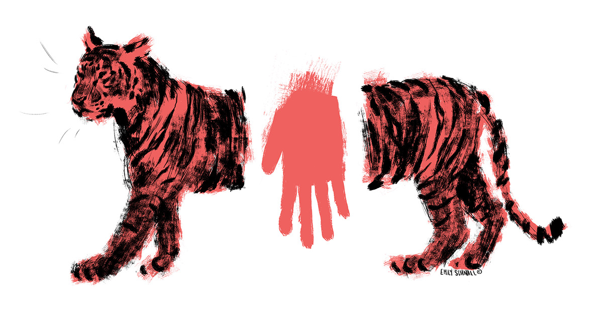Adobe Portfolio tigers animal welfare IFAW conservation