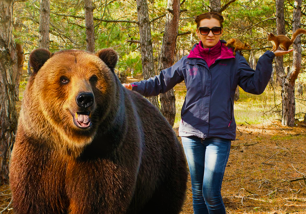 bear girl forest photomanipulation photoshop digital art Nature медведь девушка лес Фотоманипуляция фотошоп