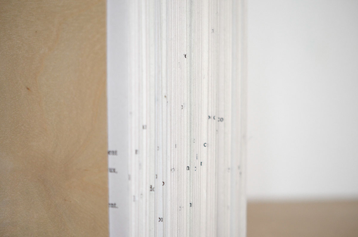 graduation Project Projet de Diplôme ecv Roland Barthes fragments book font object wood science sentimental journey wonder-room