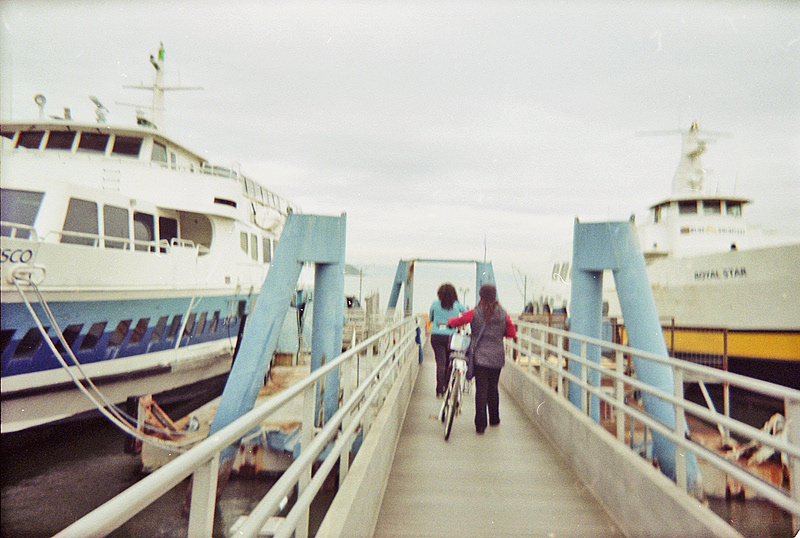 san francisco city analog disposable beach ferry Flash terrier Pacifica Six Flags roller coaster