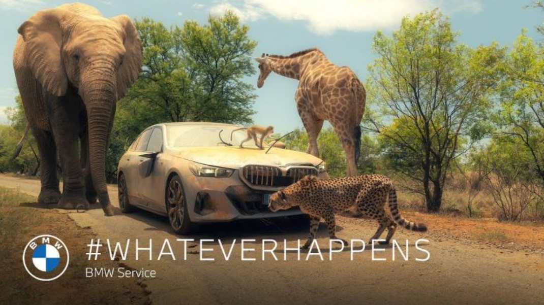 BMW africa elephant monkey leopard giraffe jungle CAR SERVICE whateverhappens lion
