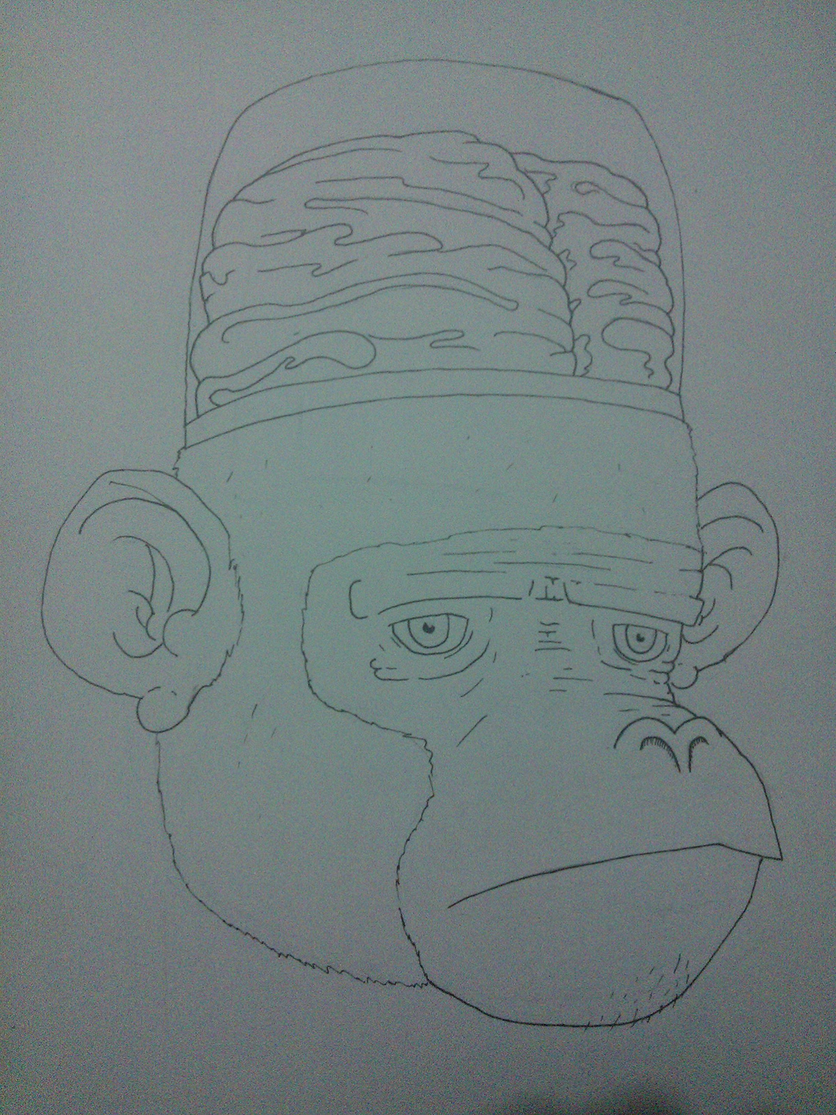 monkey funny sketch brain cartoon