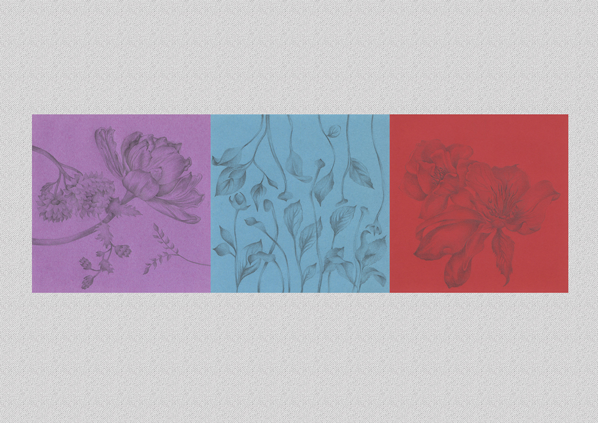 Flowers colors graphite paper botanicart pattern illustrations art design