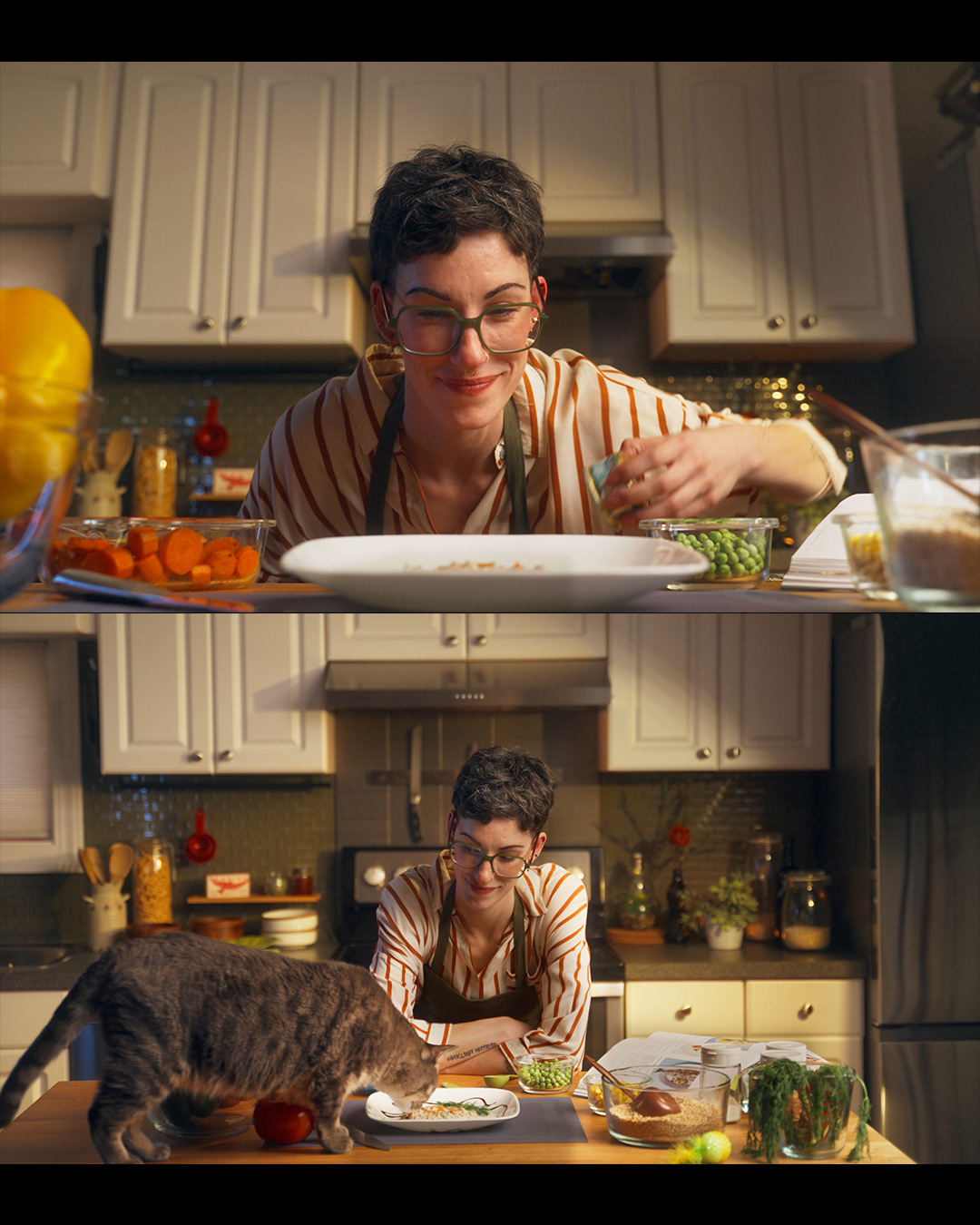 Advertising  cat food cinematography