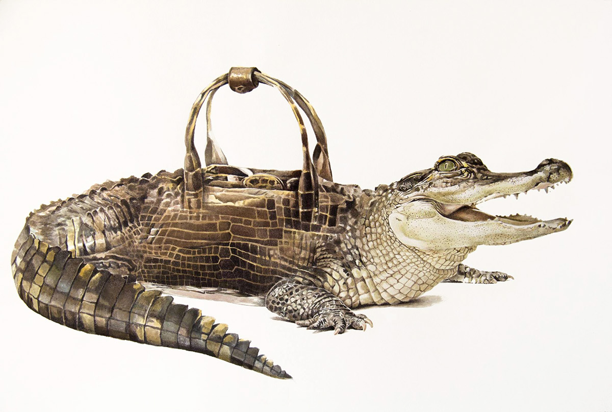 watercolor ink alligator crocodile cocodrilo handbag bag Metamorphosis Transformation morphing