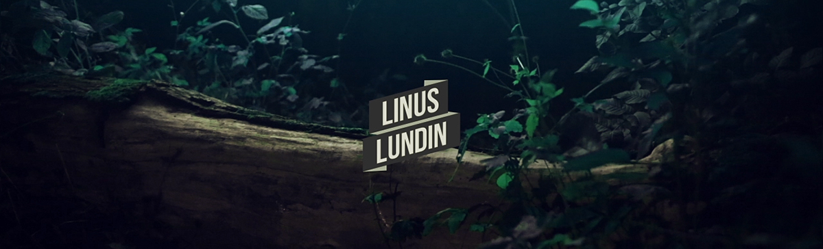 linus  lundin showreel c4d Cinema 4d Ae after effects svep.tv frog forest Flying wings