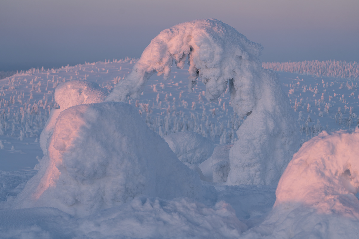blue hour finland Landscape lappland Photography  posio riisitunturi snow Travel trees