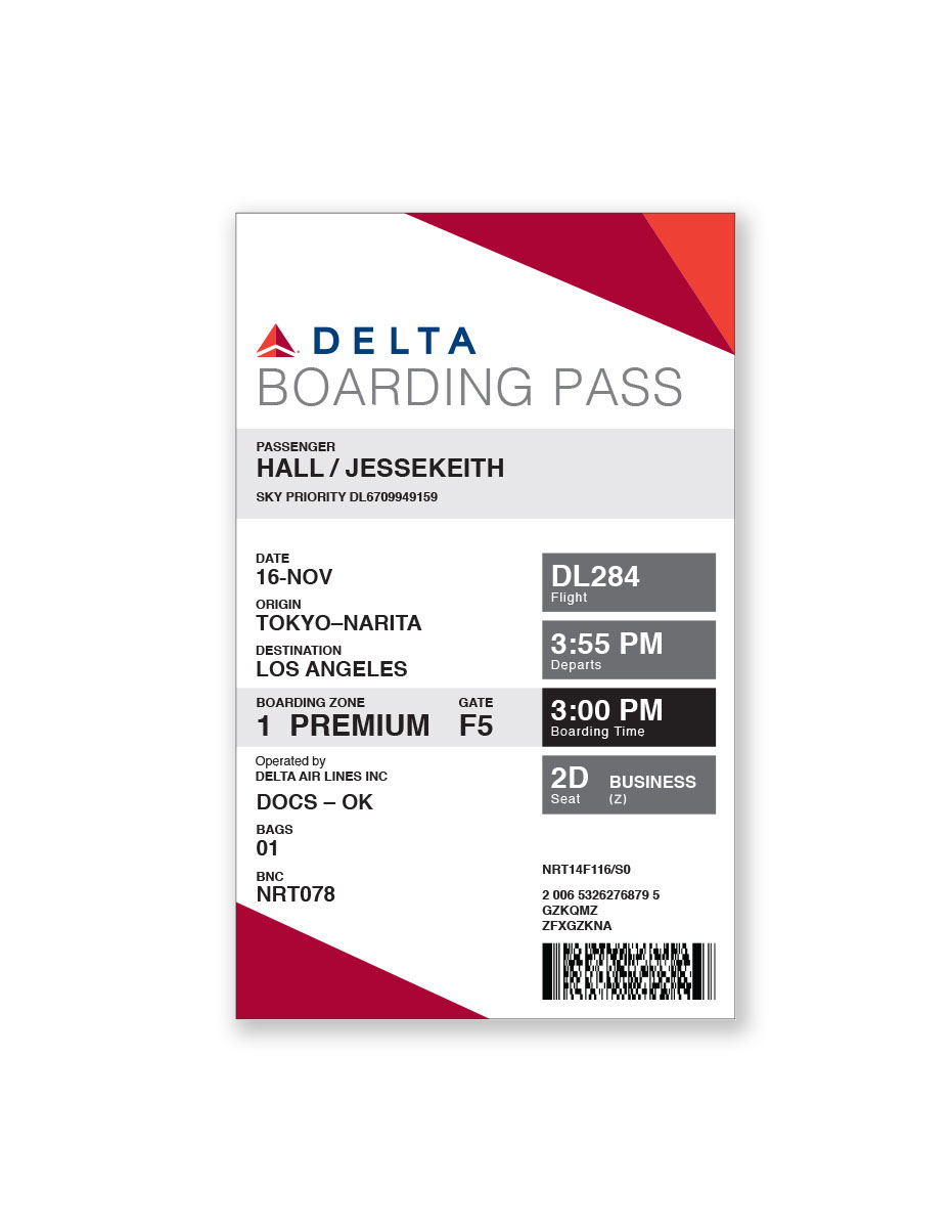 delta one year travel pass