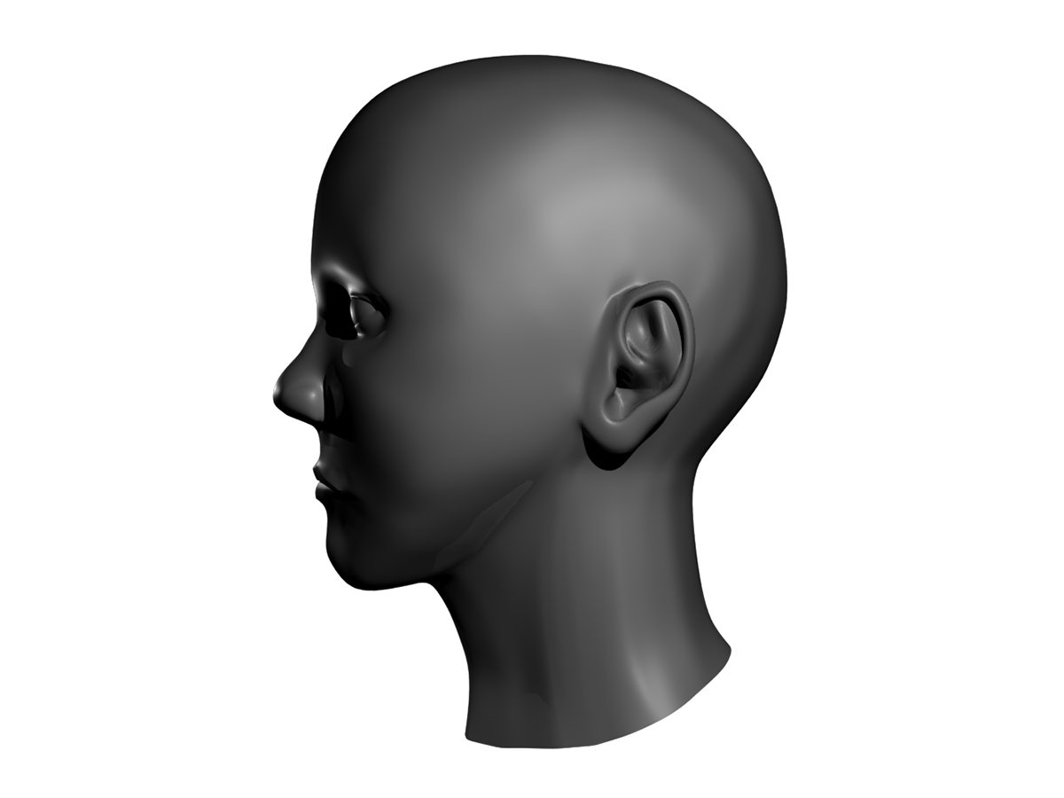 head 3D