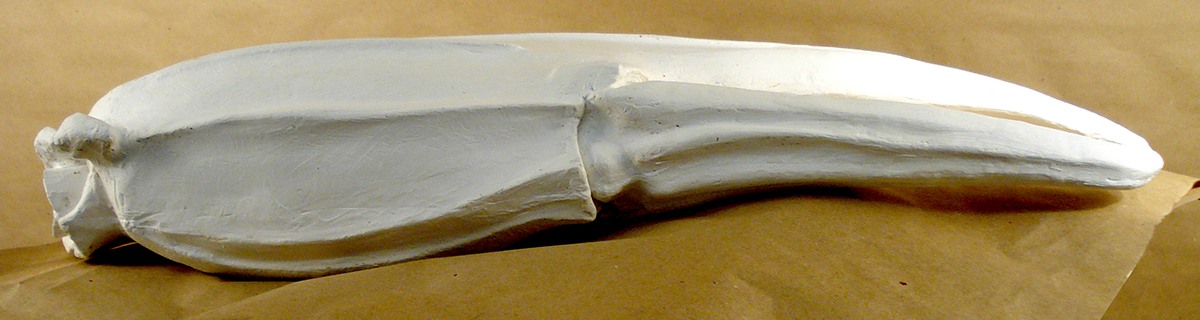 alba claw clay plaster
