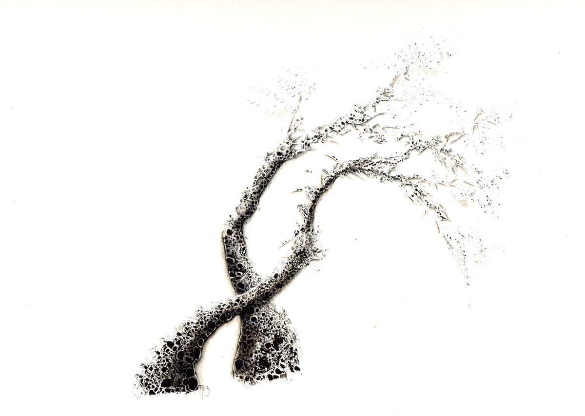 Tree  arbre ink black and white dessin art on paper paper indian ink Encre