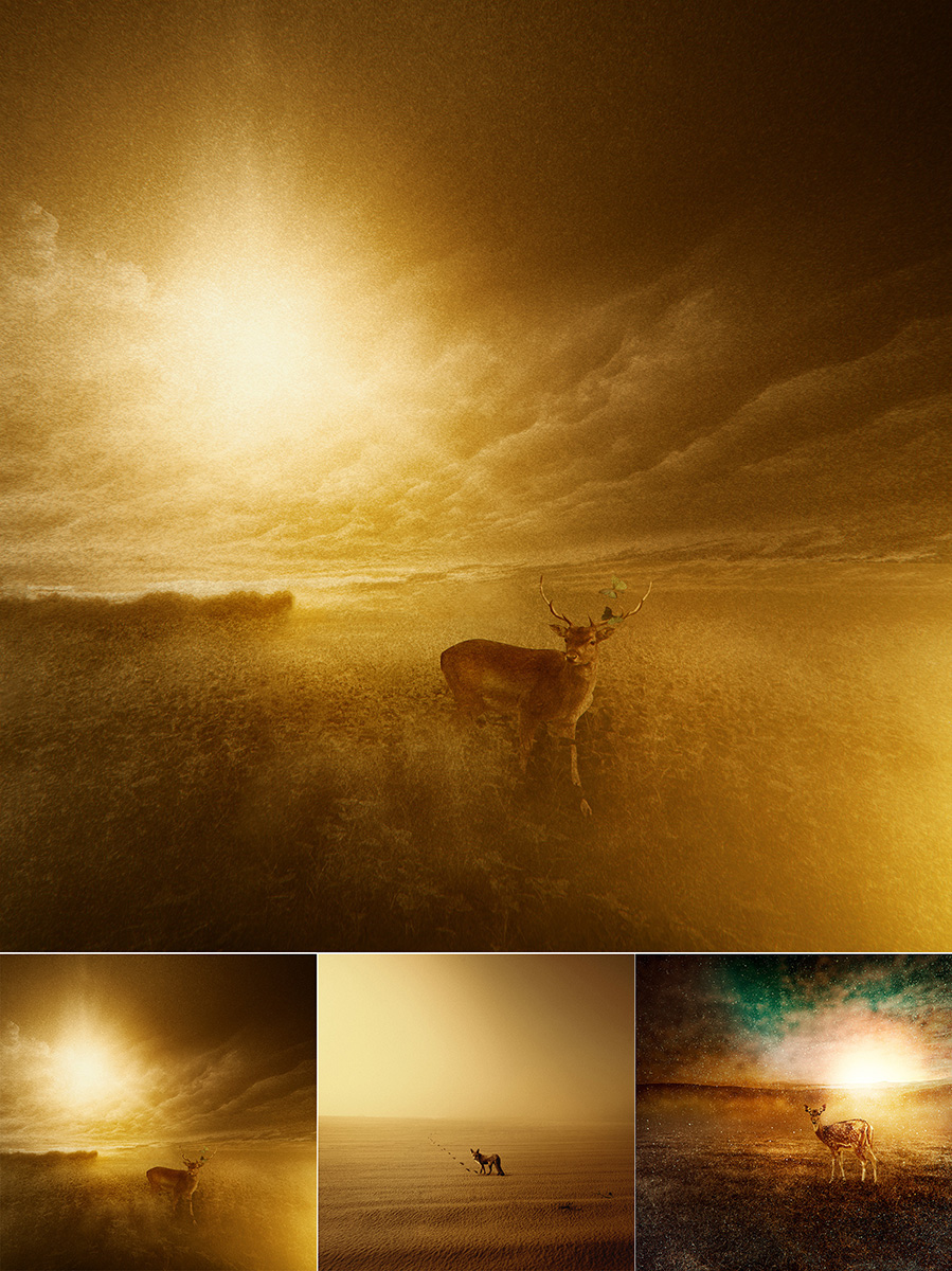 FINEART fine art fog deer Sun light photoshop conceptual