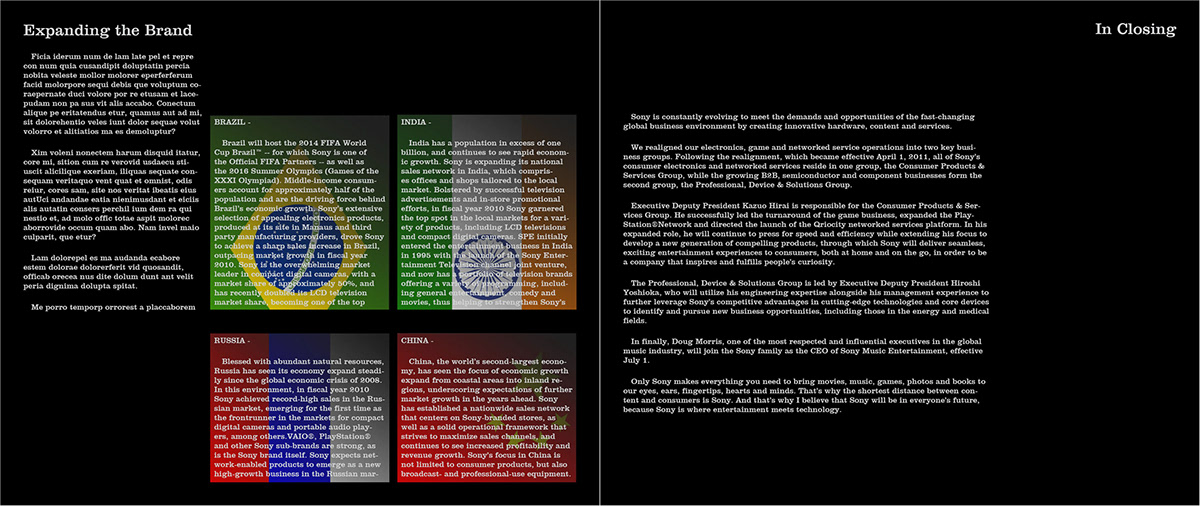 Sony  annual report design Layout