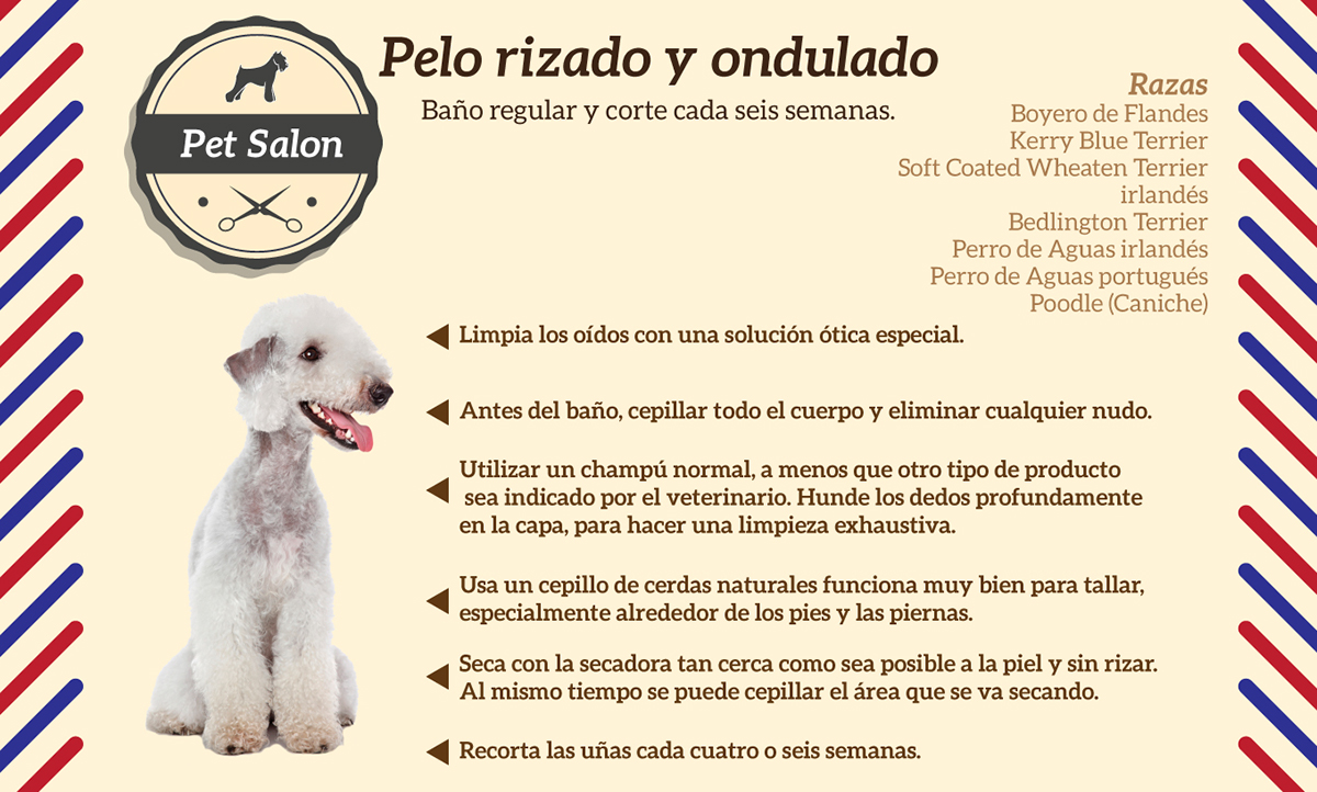 infografia mascotas higiene de mascotas