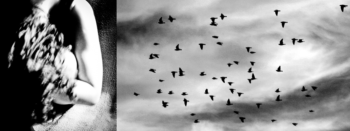 luz  reportaje  Esther Naval  Fotografia  FOTOS negro  busqueda  Apocalipsis blanco imagen imagenes