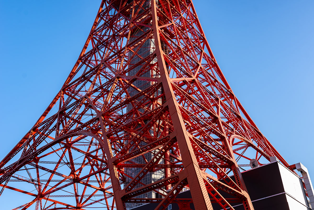 city Day landscape photography night Photography  tokyo Tokyo Tower 東京タワー