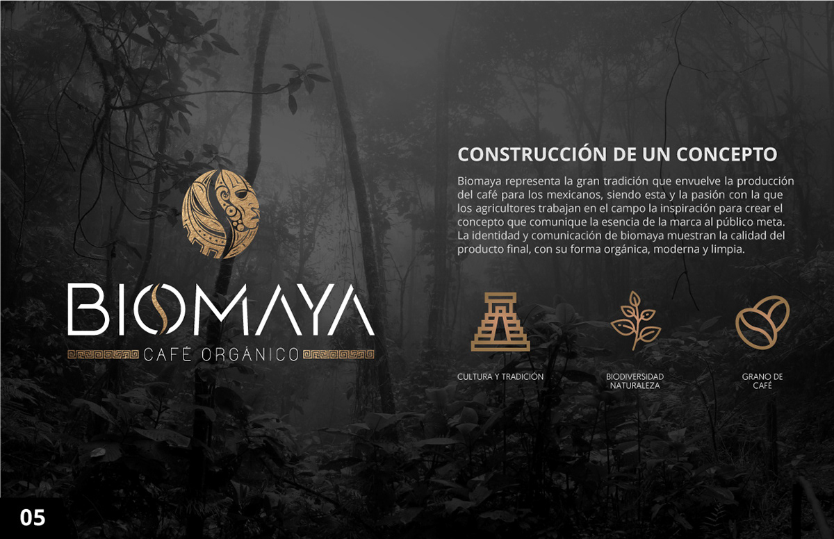 branding  Socialmedia Graphic Designer Logo Design Web Design  Eventos Corporativos Identidad Corporativa