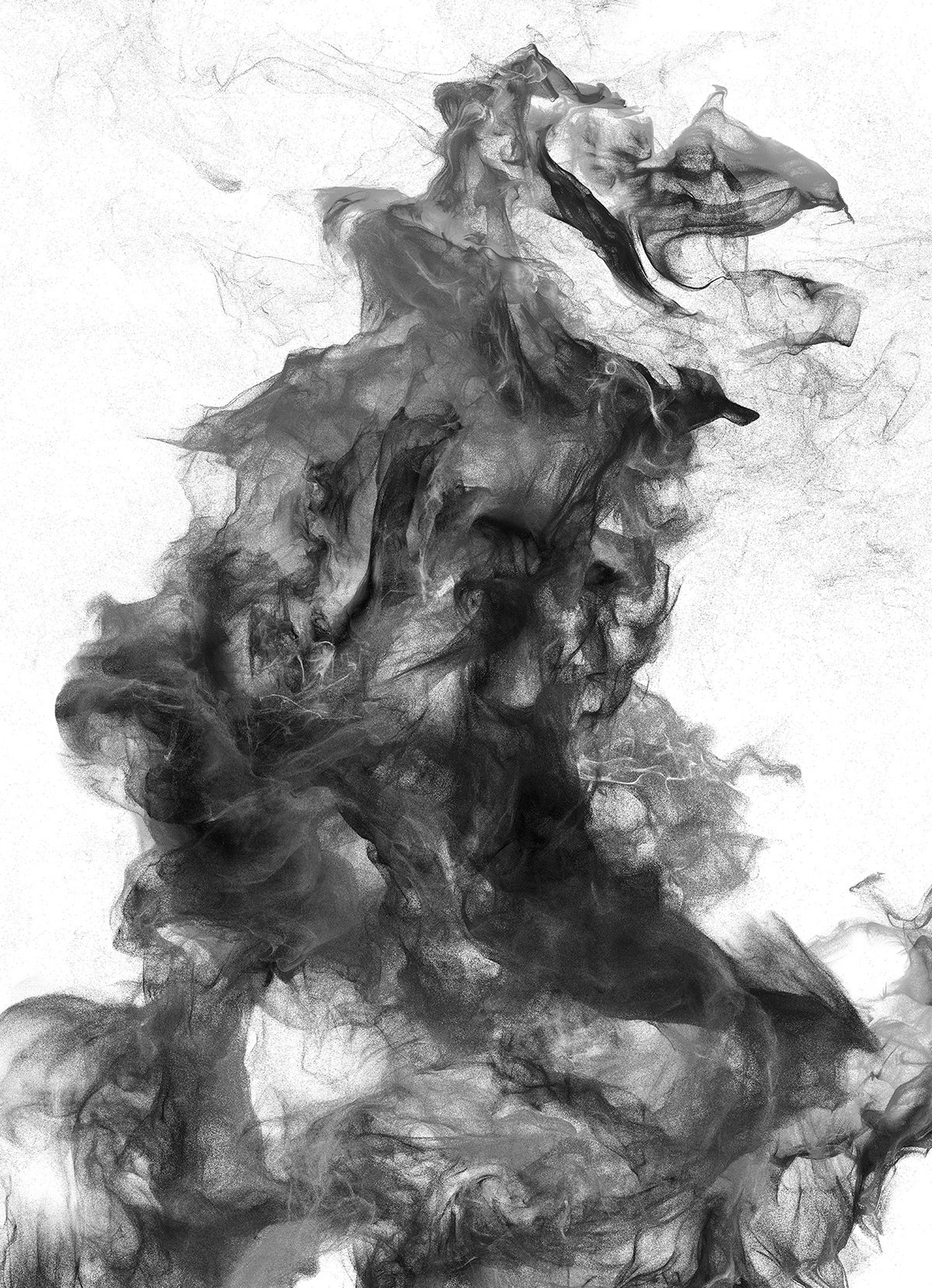 teun van der zalm salmonick atelier particles art digital abstract points black White