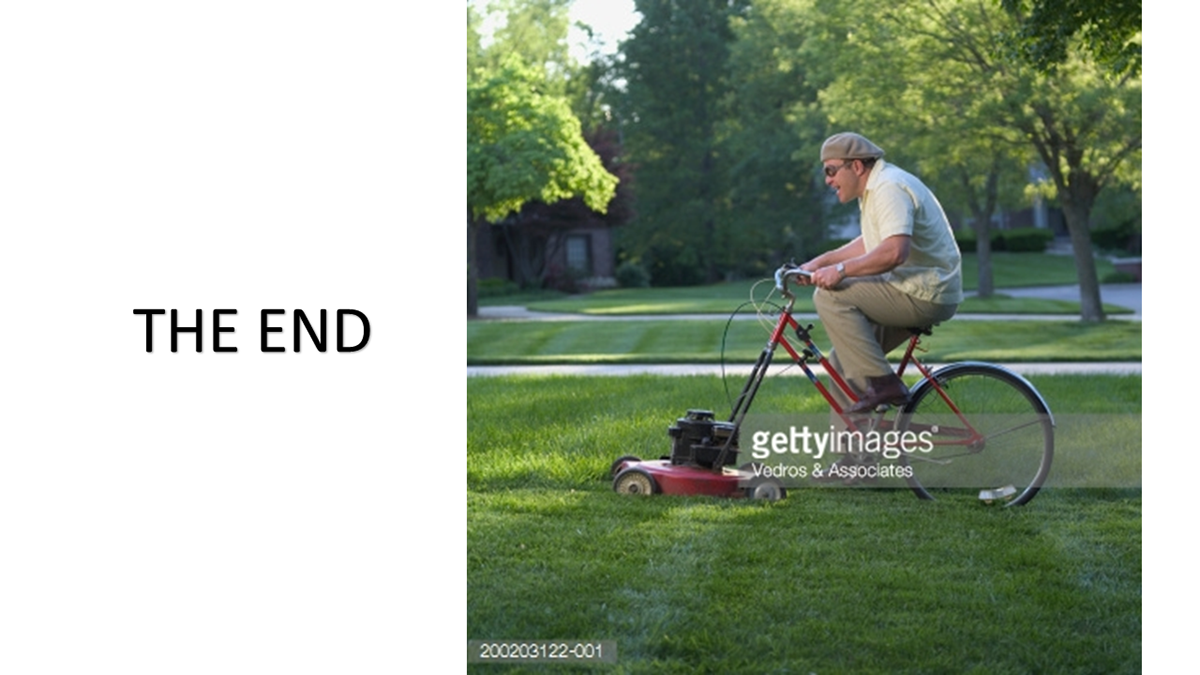 timeline lawn mower