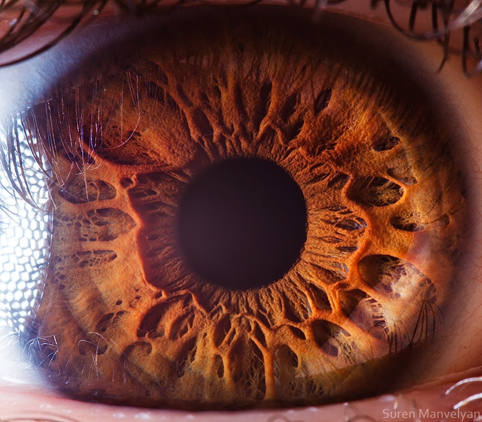 Your beautiful eyes by  Suren Manvelyan