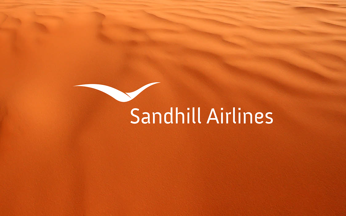 airline plane logo Flying flight air sand sandhill bird fine