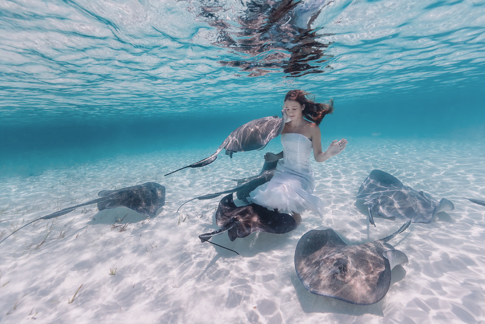 underwater UNDERWATER PHOTOGRAPHY stingrays Elena kalis