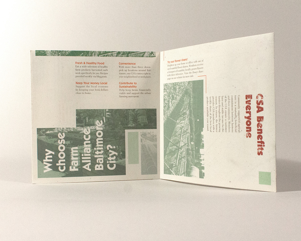 CSA Baltimore brochure design urban farming