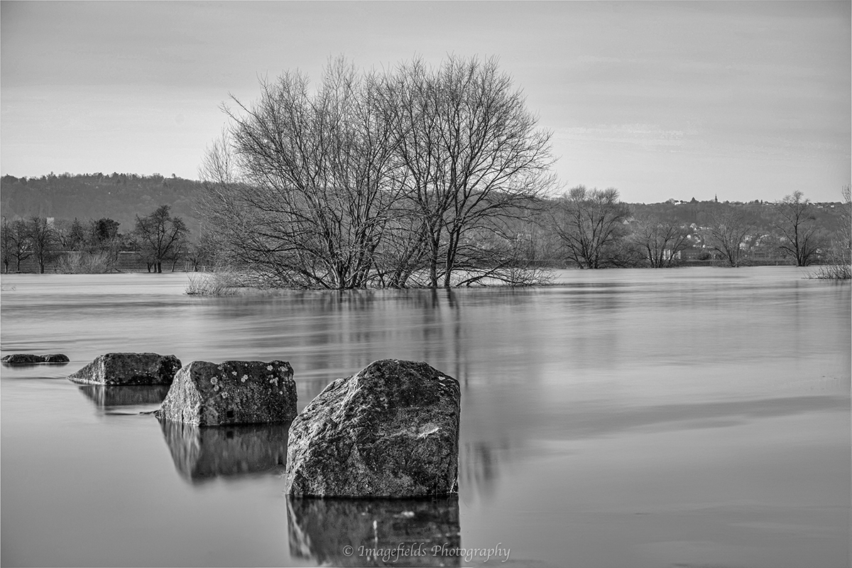 water Photography  Landscape trees Floods river elbe