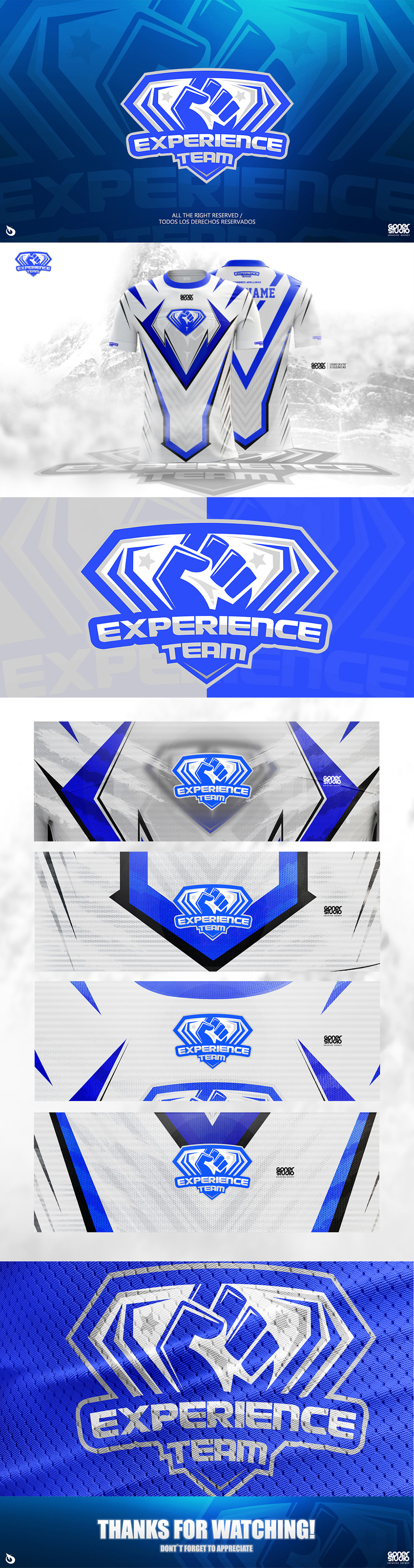 logo team esports dek Experience blue grew White