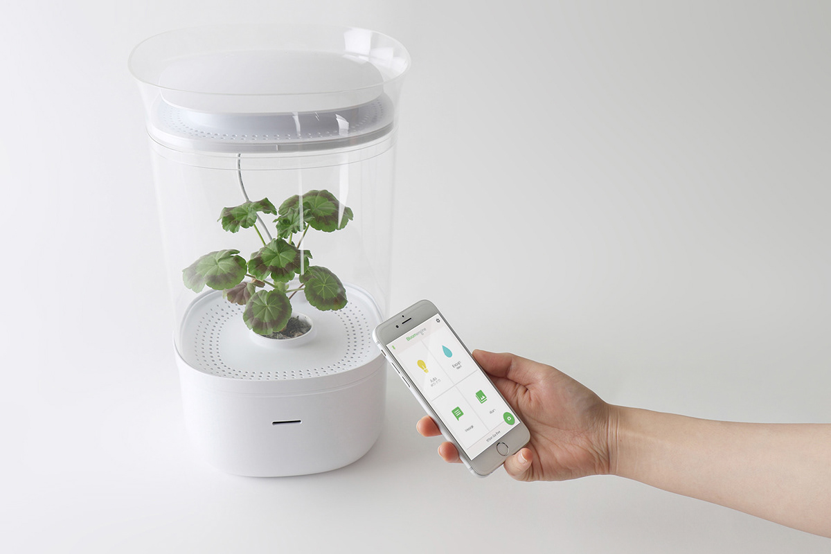 IoT manufacture Planter Startup gardening Smart garden flower making