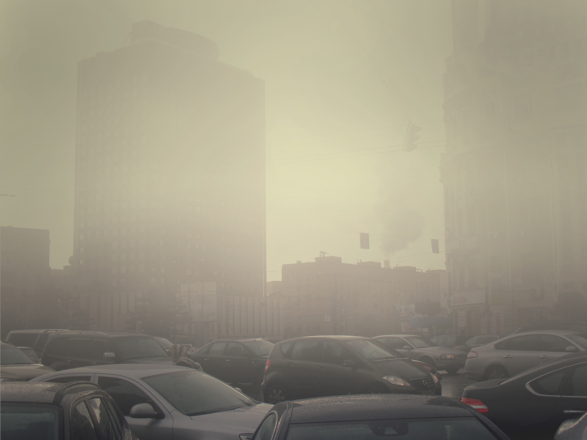 fog Moscow city home