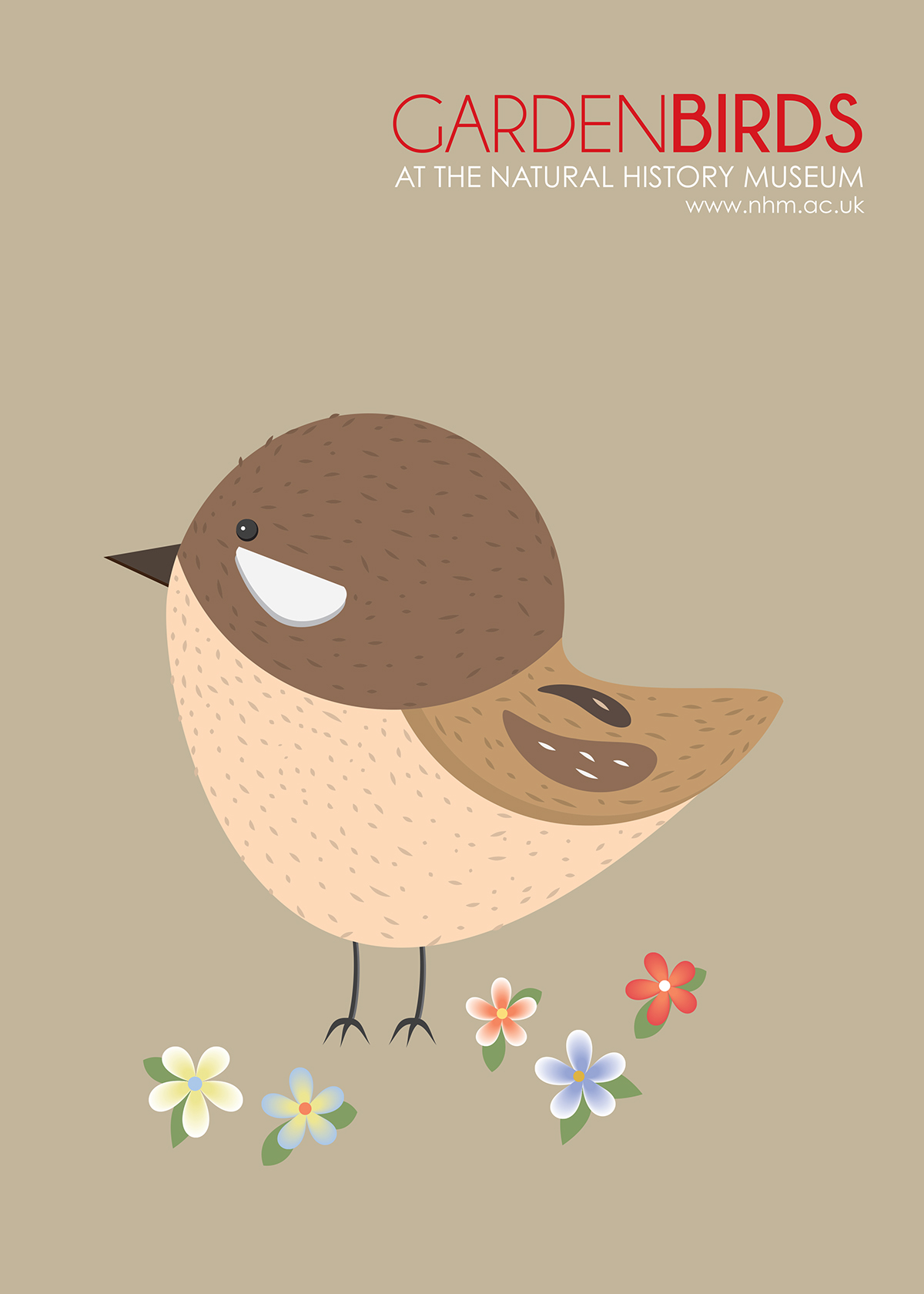 Poster Design vector graphics adobe illustrator birds garden birds