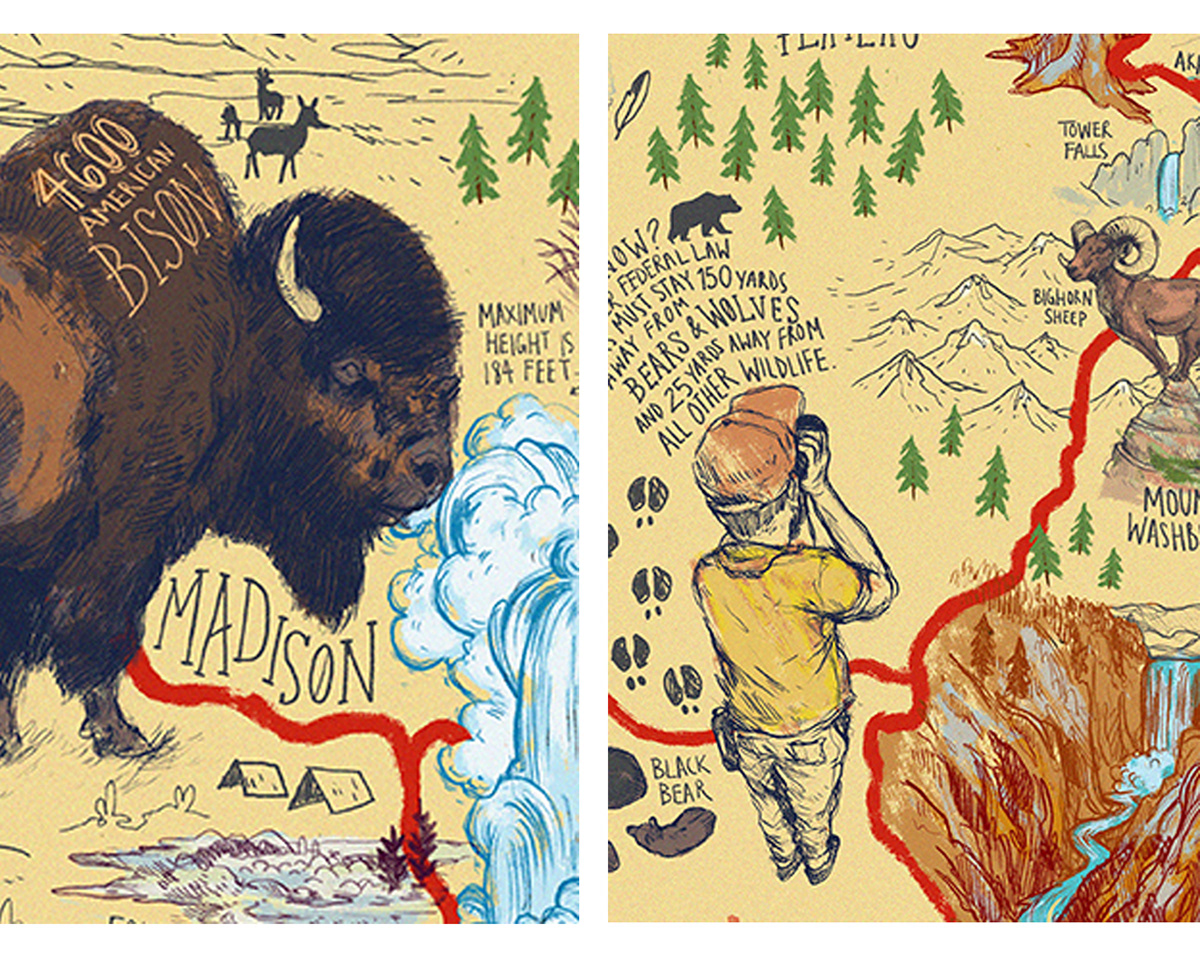 map illustrated map graphic map Yellowstone Yellowstone National Park National Park Buffalo bison Grizzly Bear wildlife sketch RoadTrip HAND LETTERING Nature Wildlife Illustration