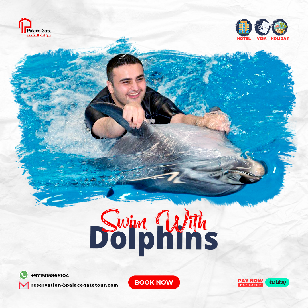 Travel dubai swimming Dolphins birds