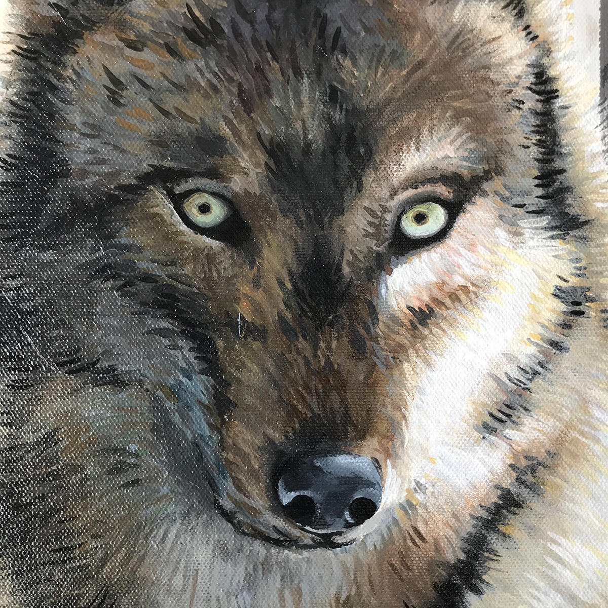 100x100 acrylic painting Oil Painting peinture réaliste wolf painting