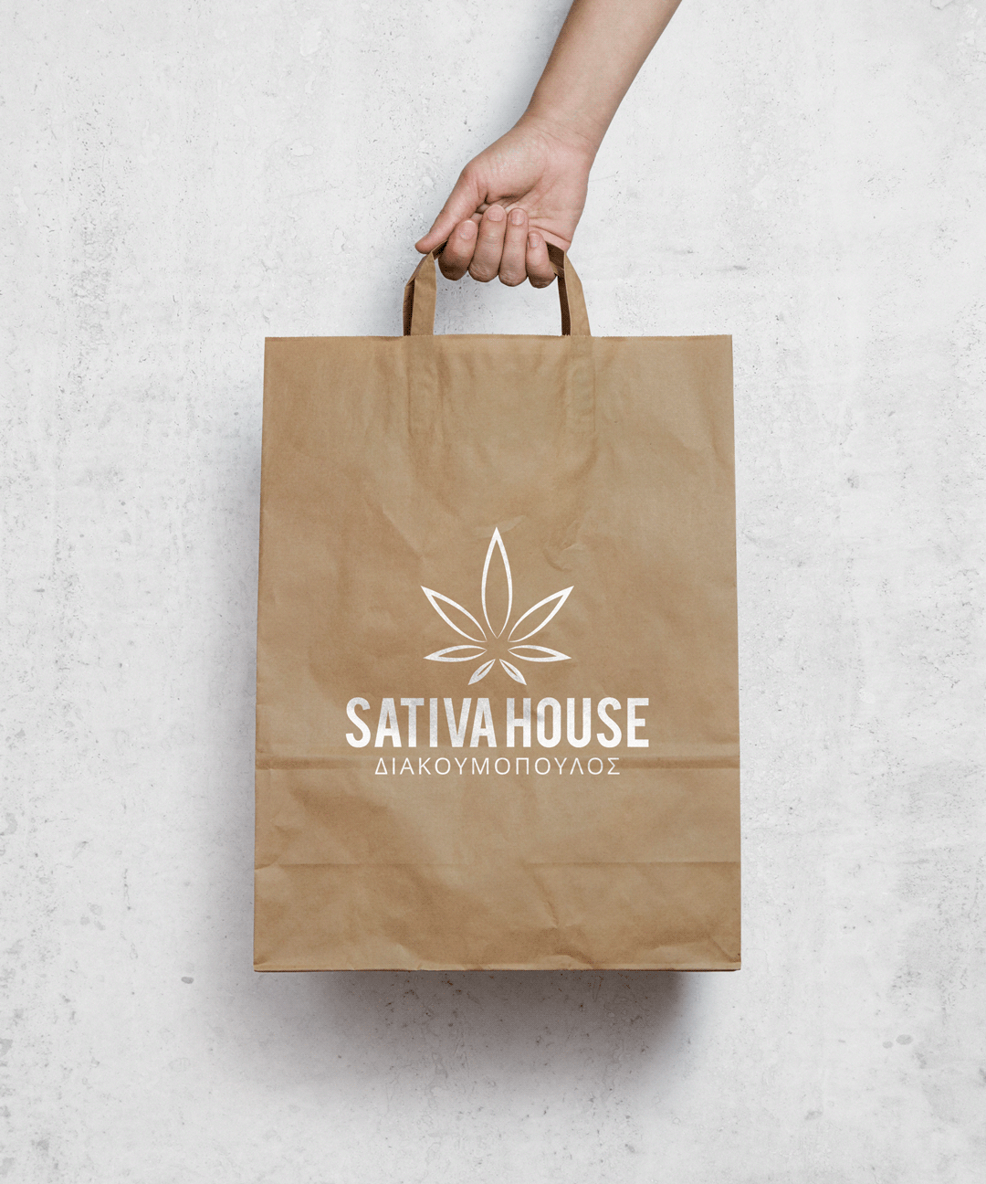 stvhouse sativahousediakoumopoulos PMKarathanasi graphicdesigner printdesign Illustrator branding  corporateidentity