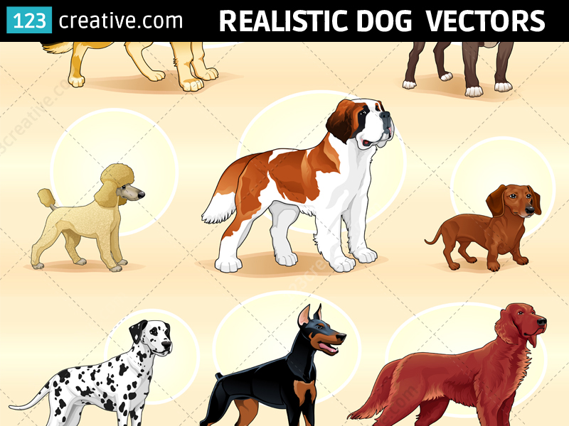 dog vector pack Dog vector design realistic dog vectors dog vector art Dalmatian dog vector Poodle dog vector dog vector illustration Pitbull dog vector animal vector graphics