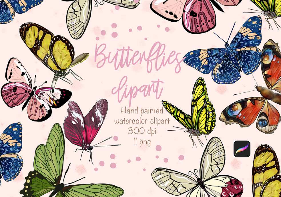 watercolor procreate watercolor flowers Watercolor brushes  brushes Procreate Digital Art  butterfly png illustration butterfly procreate brush Watercolor Floral