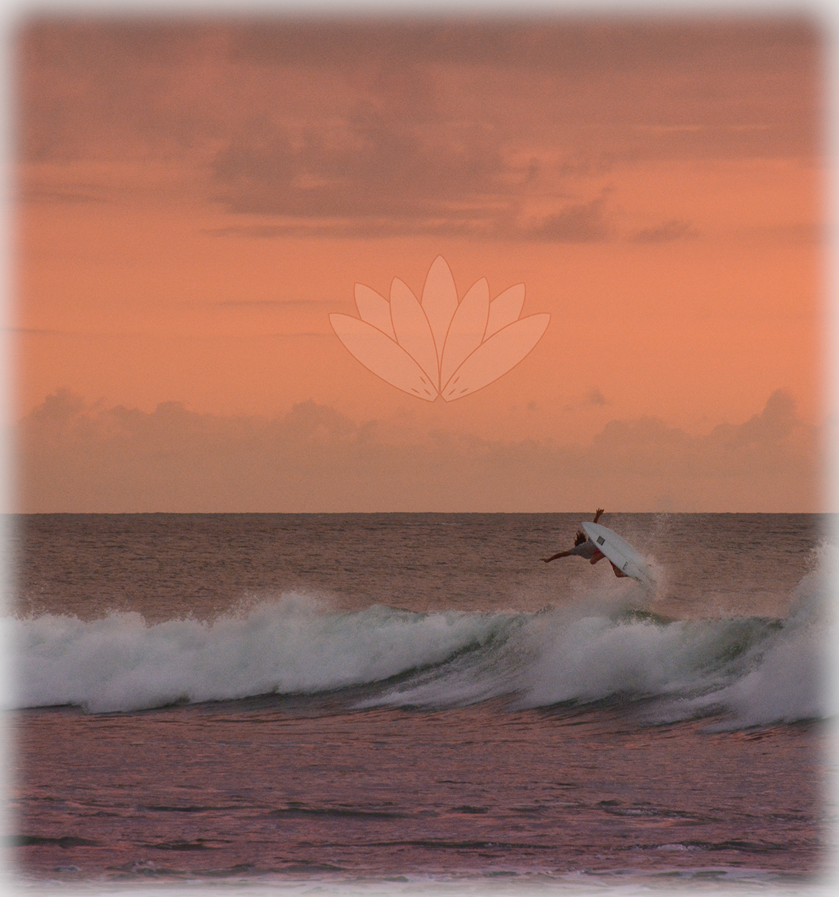 Surf dreams puresurfco Ocean sea beach waves surfer