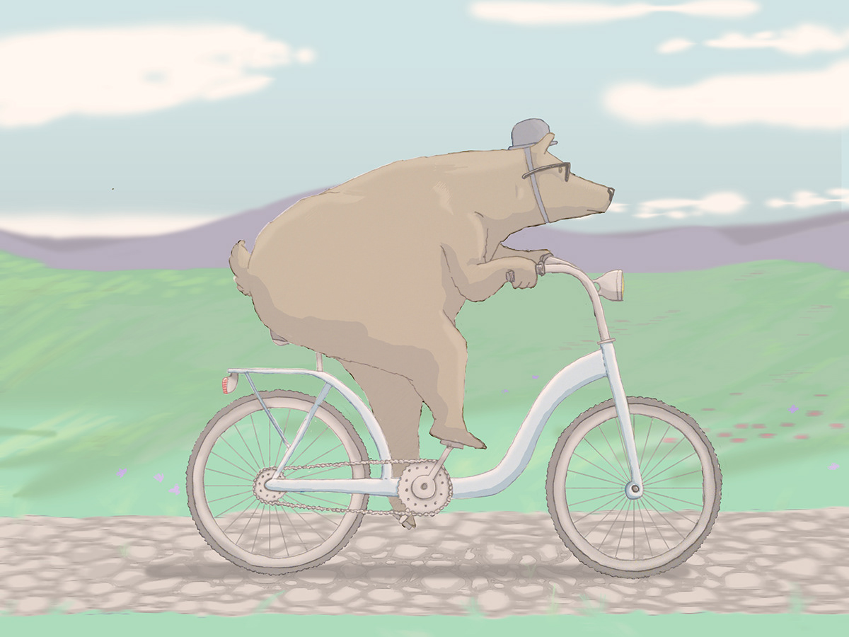 bear Bike Bicycle oso bicicleta Mauro