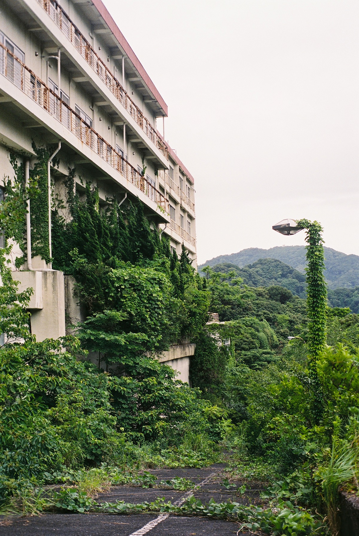 izu peninsula japan abandoned exploration Urban Nature overgrown chad art 35mm photo summer