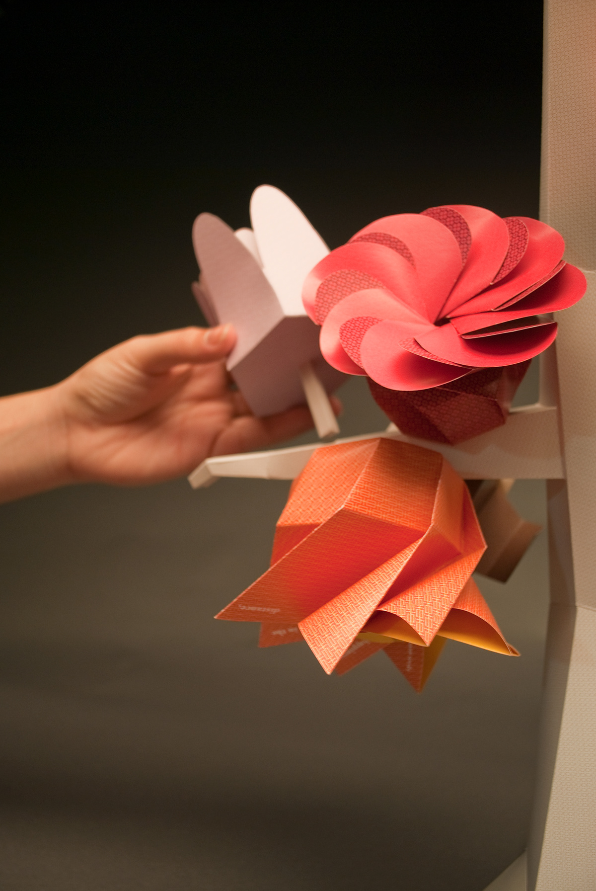 Flowers Paper City Tree  package design 