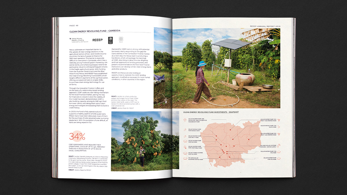 environmental Sustainability economic africa energy climate Zambia infographic Data Visualisaion