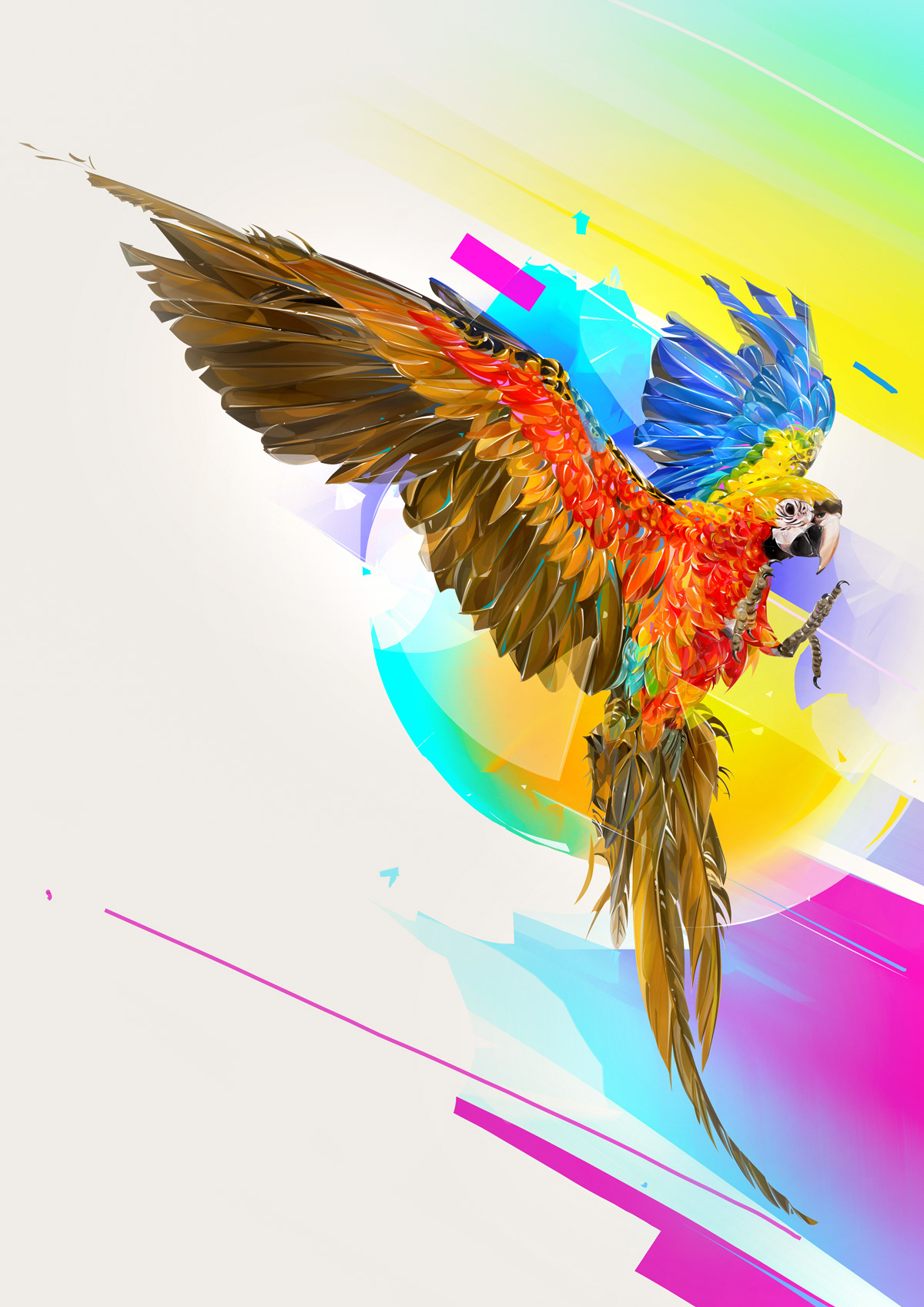 beauty bird cover design Nature parrot Pop Art portrait wild life animals
