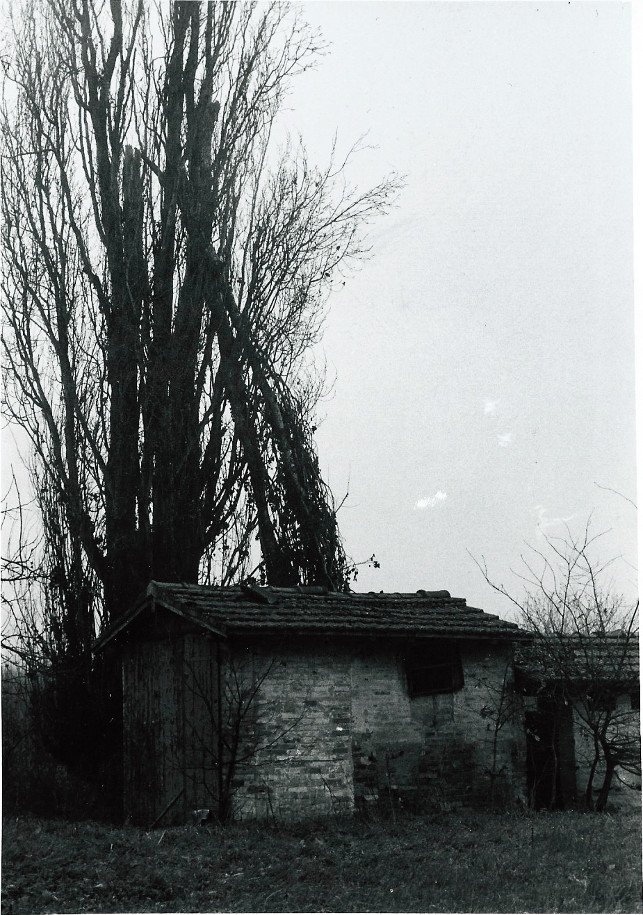 abandoned barn 35mm ILFORD Film   black and white dark vintage inspire spotting
