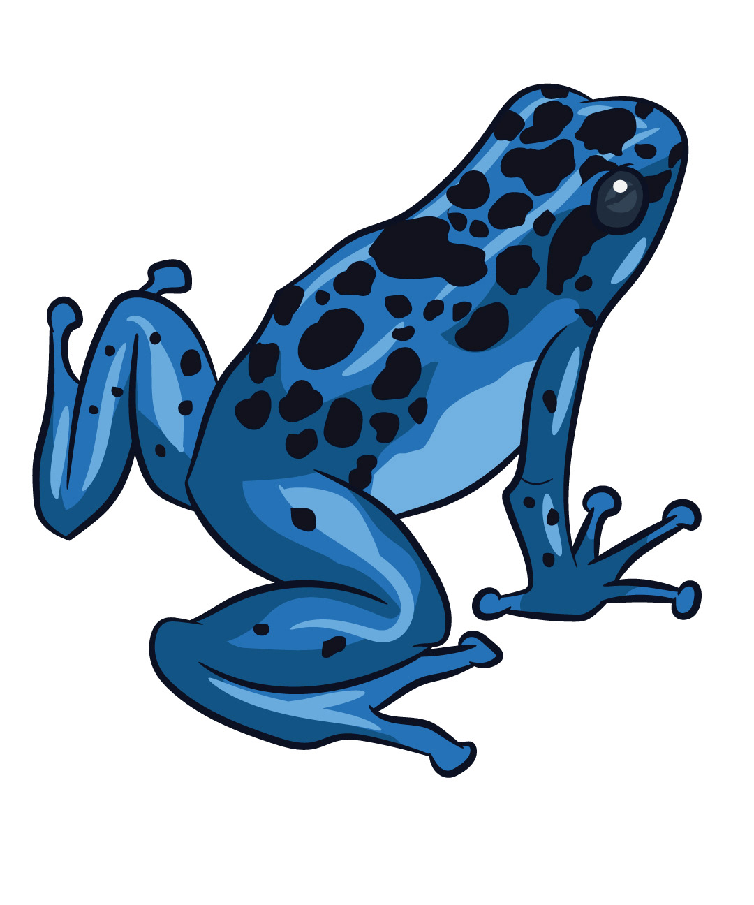 Blue Frog on Behance