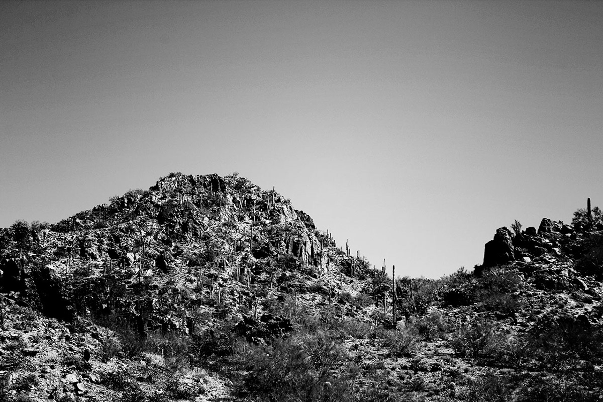 landscapes  Desert arizona black and white photos
